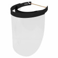 Face shield